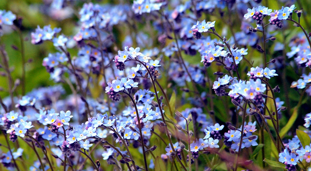 Gestüt Hämelschenburg am 3. Mai 2016