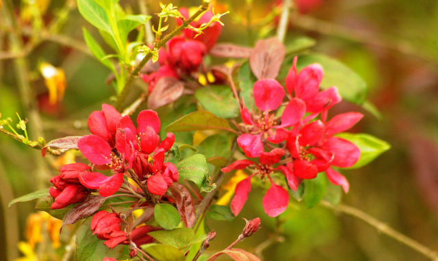 Gestüt Hämelschenburg am 3. Mai 2016