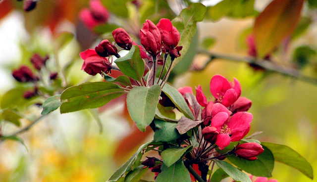 Gestüt Hämelschenburg am 2. Mai 2016