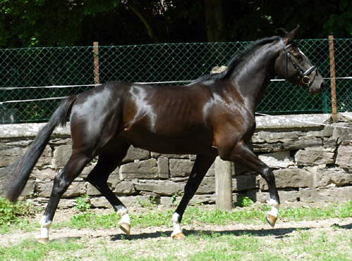 Koline von Alter Fritz im Juni 2010