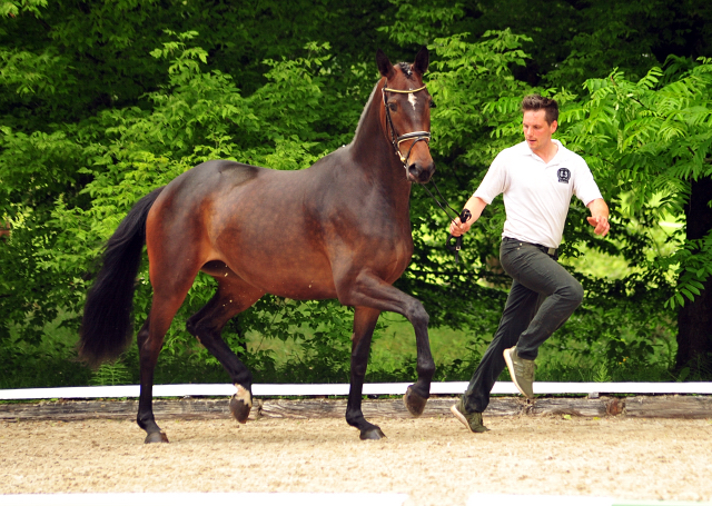 Prmienstute Anuschka v. Saint Cyr x Lauries Crusador xx - Foto: Beate Langels