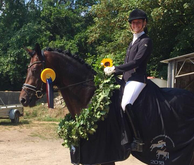 Mount Saint-Cyr - Hengst von Saint Cyr x Summertime - Trakehner Gestt Hmelschenburg 2018 - Foto: privat