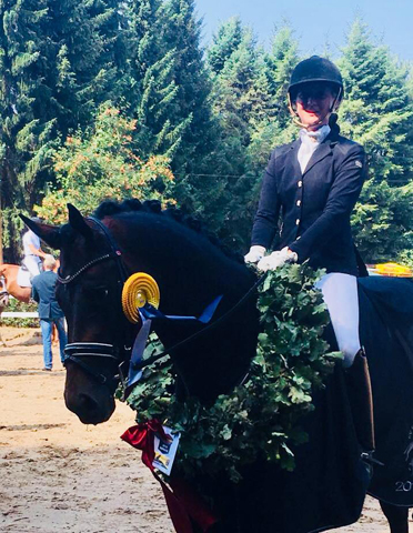 Mount Saint-Cyr - Hengst von Saint Cyr x Summertime - Trakehner Gestt Hmelschenburg 2018 - Foto: privat