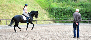 Impressionen vom August 2020 - Trakehner Gestt Hmelschenburg 2020 - Foto: Beate Langels