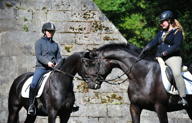 Denoir und seine Vollschwester Schwalbenzauber - Foto: Beate Langels - Trakehner Gestt Hmelschenburg