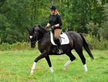 Schwalbensiegel von Kostolany - Exclusiv und Jessica