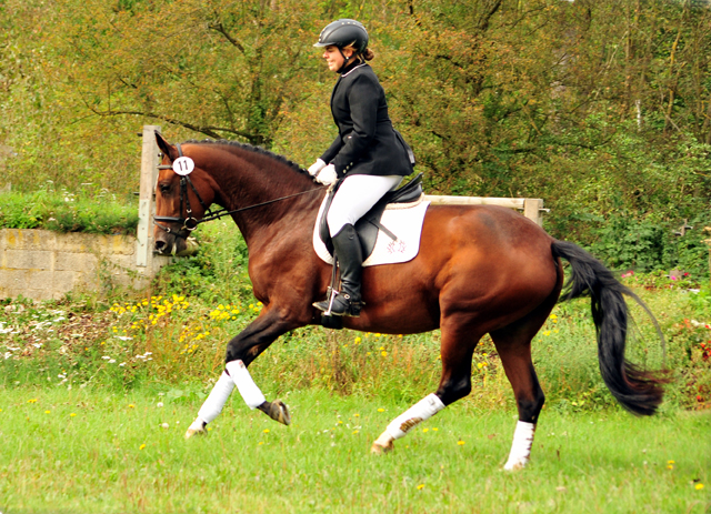 Prmienstute Karida von Oliver Twist u.d. Pr.u.StPrSt. Karena v. Freudenfest  - Foto: Beate Langels -  
Trakehner Gestt Hmelschenburg