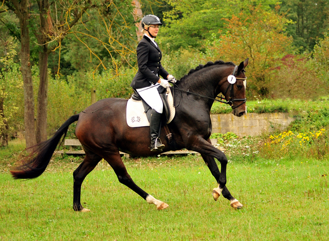 Prmienstute Tacyra v. Saint Cyr u.d. Pr.u.StPrSt. Tavolara v. Exclusiv  - Foto: Beate Langels -  
Trakehner Gestt Hmelschenburg