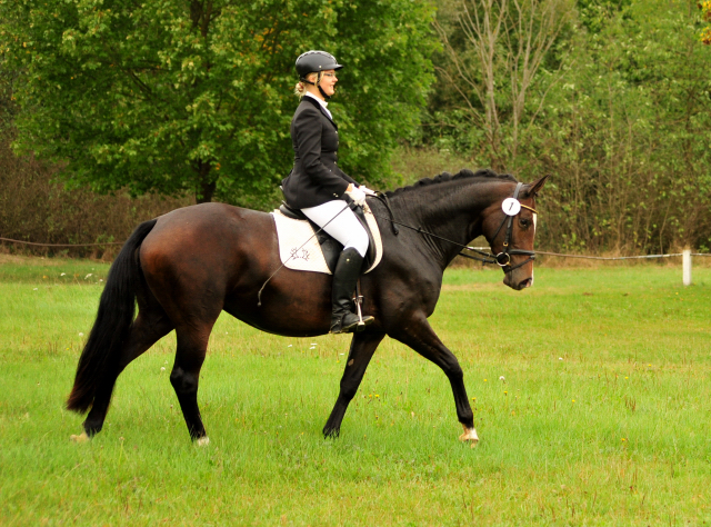 Prmienstute Tacyra v. Saint Cyr u.d. Pr.u.StPrSt. Tavolara v. Exclusiv  - Foto: Beate Langels -  
Trakehner Gestt Hmelschenburg