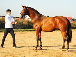 KACYRO v. Saint Cyr u.d. Pr., StPr. u. Elitestute Karena - Foto: Beate Langels