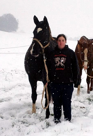 Die tragenden Stuten auf dem Weg in den Stall - 4. Januar 2016 im
Trakehner Gestüt Hämelschenburg