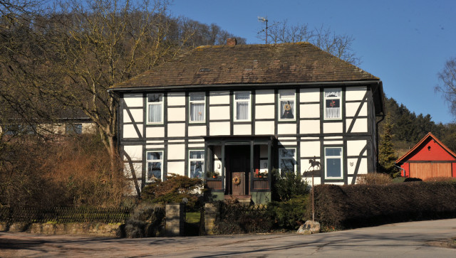 Trakehner Gestt Hmelschenburg