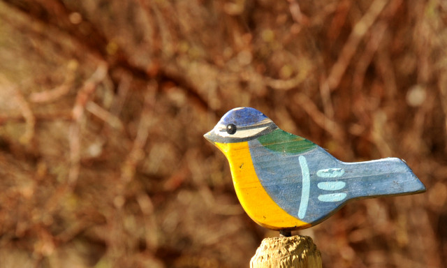 Trakehner Gestt Hmelschenburg
