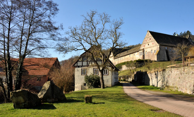 Trakehner Gestt Hmelschenburg