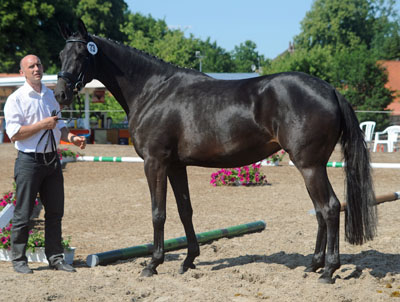 Arven von Summertime u.d. Pr.St. Anjana v. Freudenfest u.d. Elitestute Agatha Christy v. Showmaster