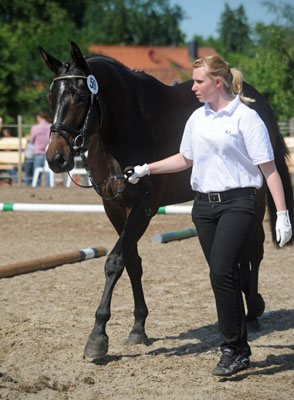 Prmienanwrterin: Kaiserspiel von Exclusiv u.d. Kaiserzeit v. Summertime - Foto: Beate Langels - Trakehner Gestt Hmelschenburg