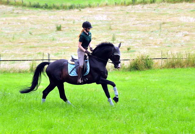 Der 20j hrige Shavalou und Johanna - Foto: Beate Langels - Trakehner Gest t H melschenburg