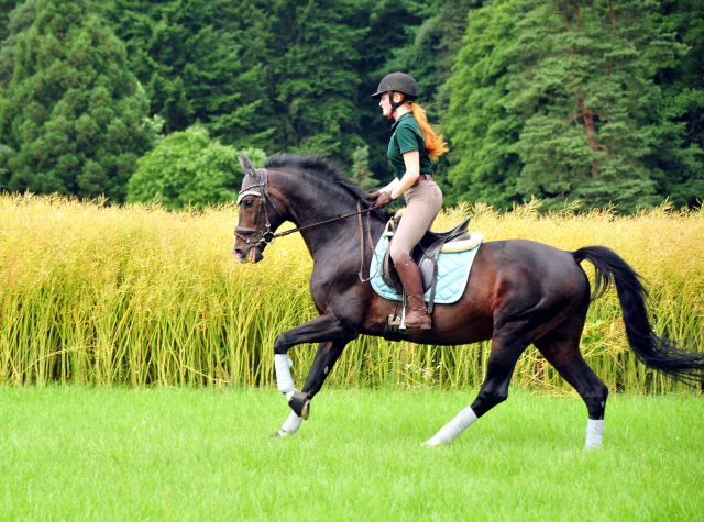 Der 20jhrige Shavalou und Johanna - Foto: Beate Langels - Trakehner Gestt Hmelschenburg