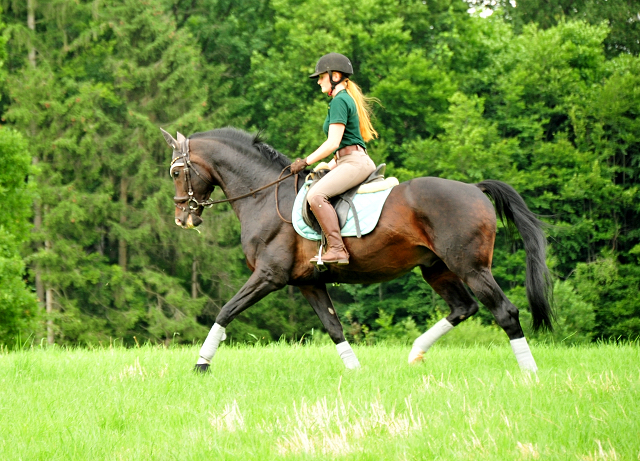 Shavalou und Johanna - Foto: Beate Langels - Trakehner Gest t H melschenburg