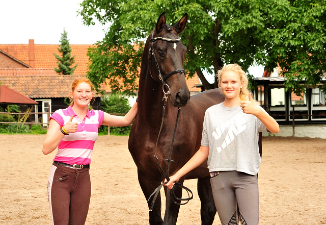 2jhriger Trakehner Hengst v. Saint Cyr u.d. Pr.St. Under the Moon v. Easy Game - Foto: Beate Langels - 
Trakehner Gestt Hmelschenburg