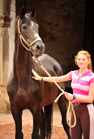 Exclusiv v. Starway und Johanna - Foto: Beate Langels - 
Trakehner Gestt Hmelschenburg