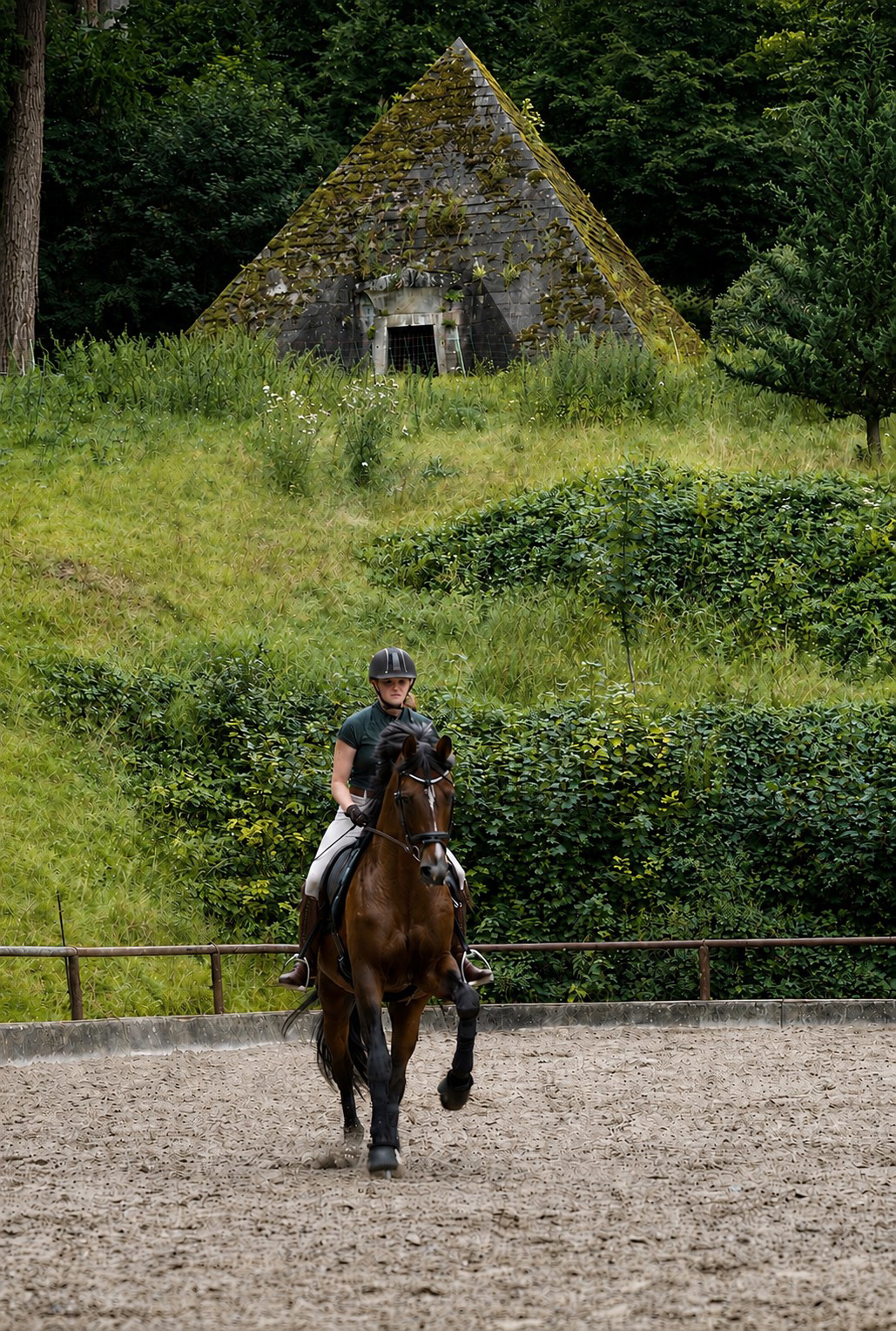 High Motion und Johanna - Trakehner Gestüt Hämelschenburg - Foto Beate Langels
