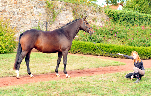 Prmienstute Tacyra v. Saint Cyr u.d. Prmien- u. Staatsprmienstute Tavolara v. Exclusiv - Foto: Beate Langels -
Trakehner Gestt Hmelschenburg