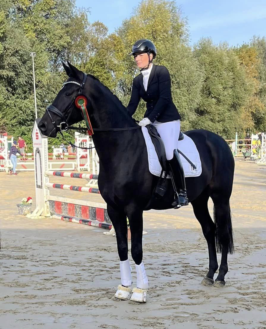 Highclere - Trakehner von Saint Cyr u.d. Hanna v. Summertime  - Foto:  Trakehner Gestt Hmelschenburg