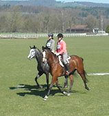 Talavera v. Summertime u.d. Pr.u.StPrSt. Tavolara von Exclusiv und Sigrid Rutz - Trakehner Gestt Hmelschenburg - Beate Langels