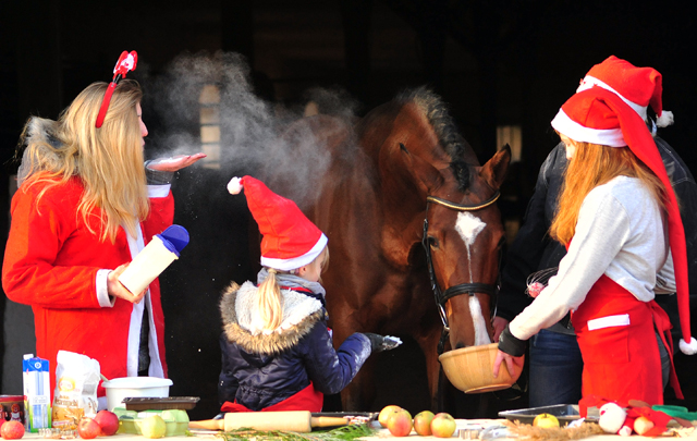 Kacyro in der Hmelschenburger Weihnachtsbckerei  - Beate Langels Gestt Hmelschenburg