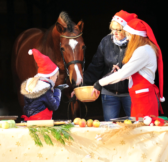 Kacyro in der Hmelschenburger Weihnachtsbckerei  - Beate Langels Gestt Hmelschenburg