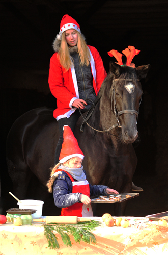 Ginger Rogers zu Besuch in der Weihnachtsbckerei in Hmelschenburg - Beate Langels Gestt Hmelschenburg