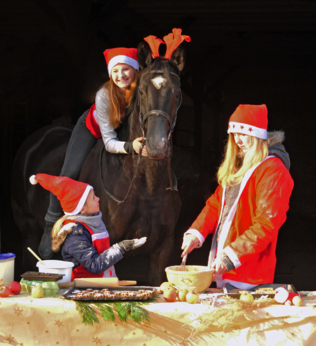 Ginger Rogers zu Besuch in der Weihnachtsbckerei in Hmelschenburg - Beate Langels Gestt Hmelschenburg