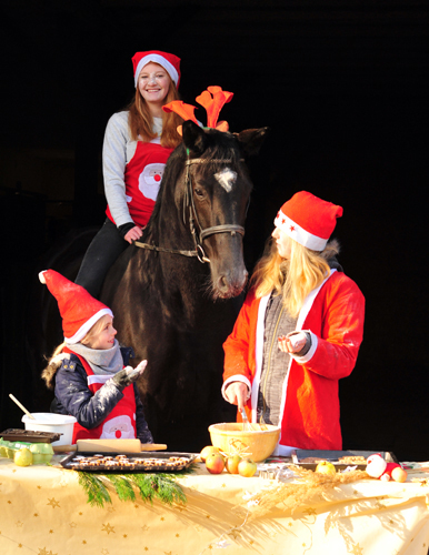 Ginger Rogers zu Besuch in der Weihnachtsbckerei in Hmelschenburg - Beate Langels Gestt Hmelschenburg