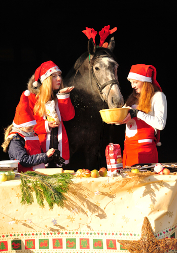 Tea and Sugar in der Weihnachtsbckerei des Gestt  Hmelschenburg - Beate Langels Gestt Hmelschenburg