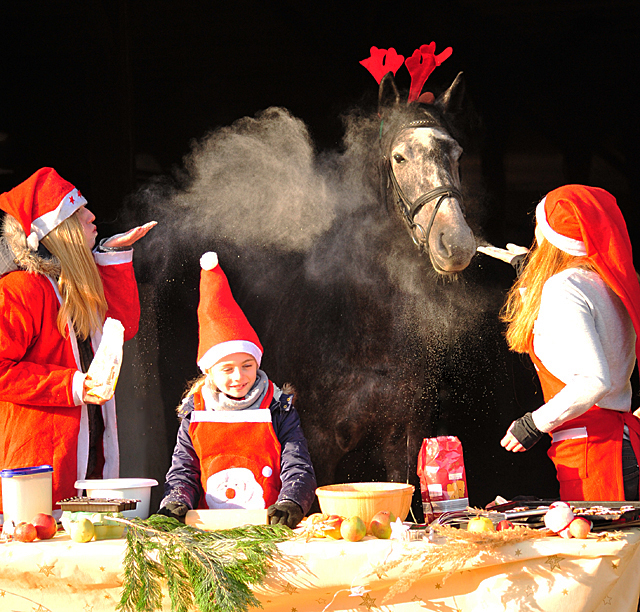 Tea and Sugar in der Weihnachtsbckerei des Gestt  Hmelschenburg - Beate Langels Gestt Hmelschenburg