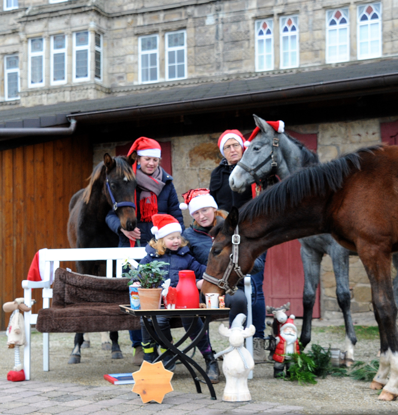 Nikolaus - 6. Dezember 2021 in Hmelschenburg  - Foto: Beate Langels - Trakehner Gestt Hmelschenburg