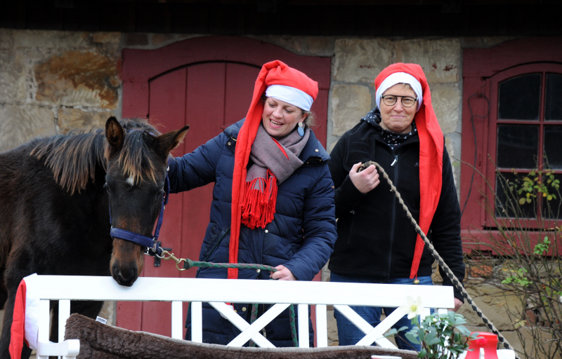 Nikolaus - 6. Dezember 2021 in Hmelschenburg  - Foto: Beate Langels - Trakehner Gestt Hmelschenburg