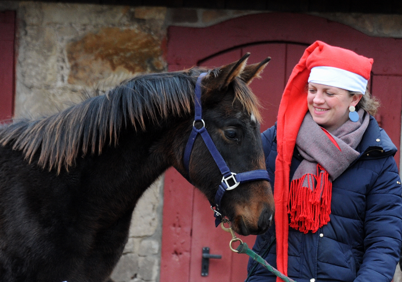 Nikolaus - 6. Dezember 2021 in Hmelschenburg  - Foto: Beate Langels - Trakehner Gestt Hmelschenburg