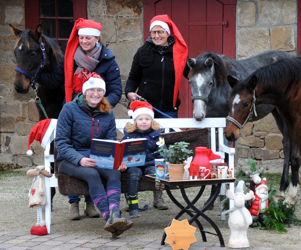 Impressionen vom Dezember 2021 - Trakehner Gestt Hmelschenburg  - Foto: Beate Langels