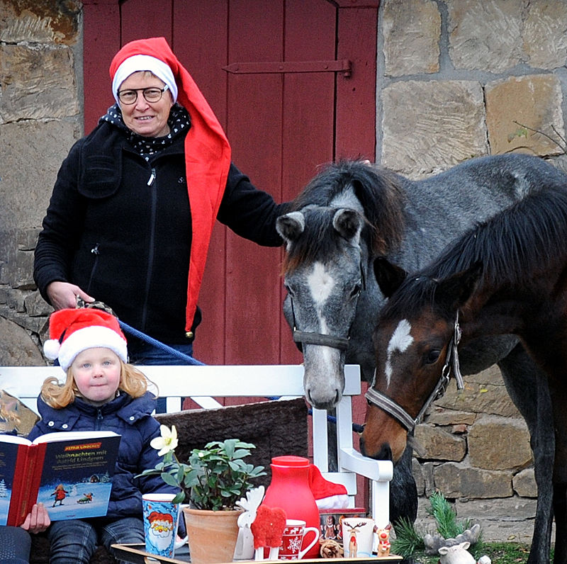 Nikolaus - 6. Dezember 2021 in Hmelschenburg  - Foto: Beate Langels - Trakehner Gestt Hmelschenburg