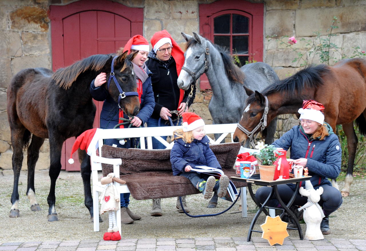 Nikolaus - 6. Dezember 2021 in Hmelschenburg  - Foto: Beate Langels - Trakehner Gestt Hmelschenburg