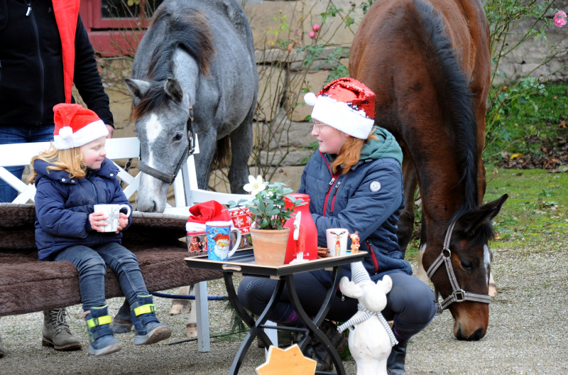 Nikolaus - 6. Dezember 2021 in Hmelschenburg  - Foto: Beate Langels - Trakehner Gestt Hmelschenburg