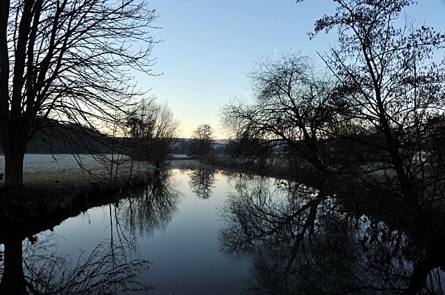 Trakehner Gestt Hmelschenburg
