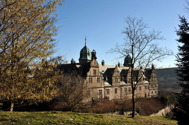 Trakehner Gestt Hmelschenburg