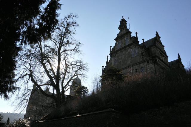 Trakehner Gestt Hmelschenburg