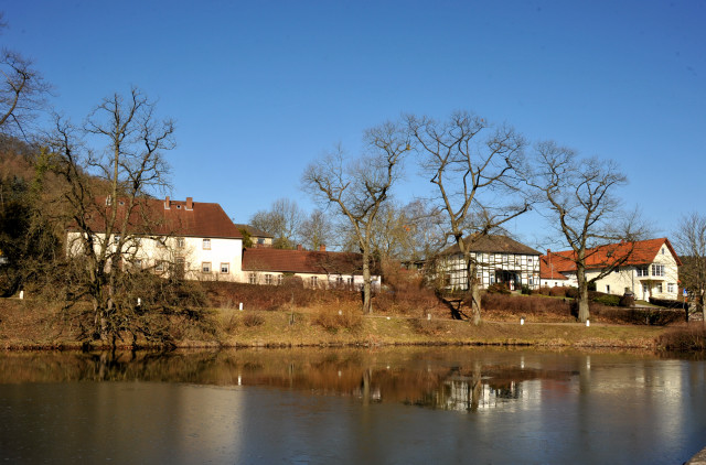 Trakehner Gestt Hmelschenburg