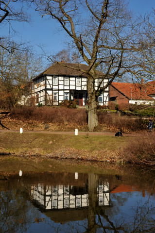 Trakehner Gestt Hmelschenburg