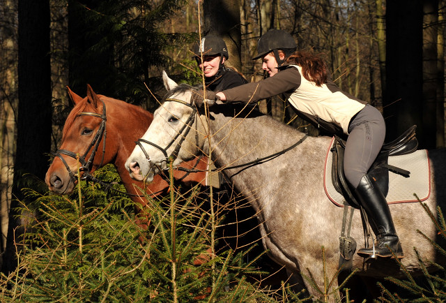 Rivergold v. Freudenfest und Tilly v. Leonidas - Trakehner Gestt Hmelschenburg