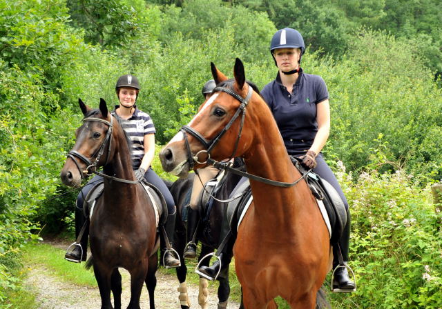 Das erste mal im Gelnde: 3jhriger Wallach von Summertime u.d. Prmienstute Klassic v. Freudenfest - Foto: Beate Langels - Trakehner Gestt Hmelschenburg